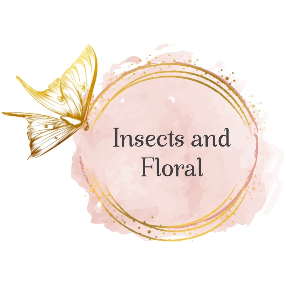 Insects & Floral