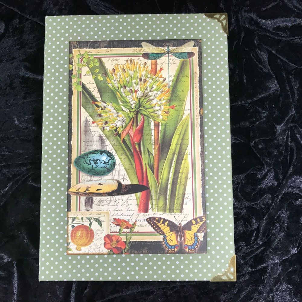Natures Notebook X-Large Handmade Journal (Green with Cream Polka Dots)