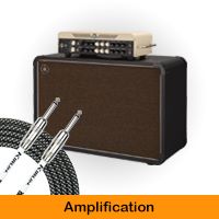 Amplification