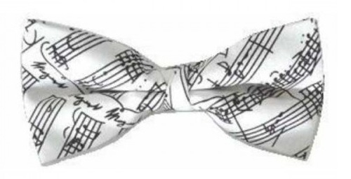 Silk Bow Tie White