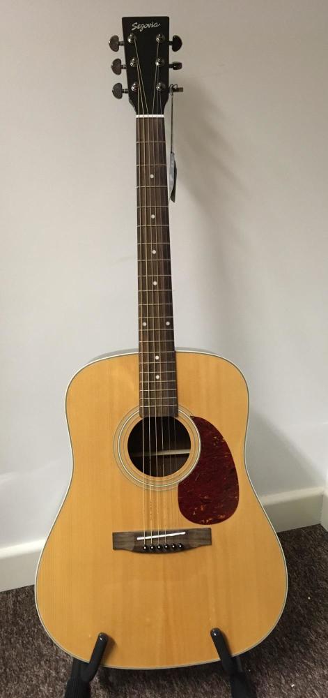 Segovia D200 Acoustic Guitar