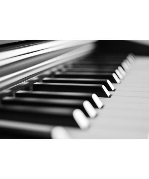 Music Gifts Piano Greeting Card