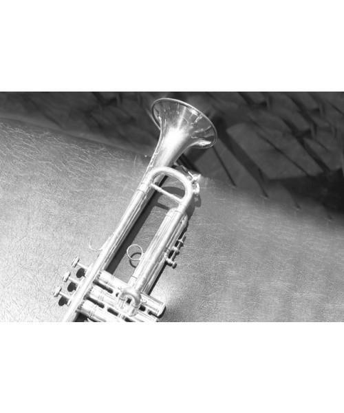 Music Gifts Trumpet Greeting Card