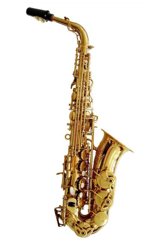 Odyssey Wind Instruments OAS130 Debut Eb Alto Saxophone saxo