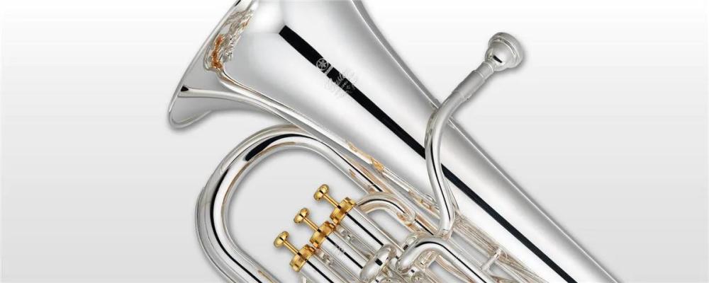 Ex Demo Yamaha YEP842S Euphonium Custom Model, silver plate gold trim