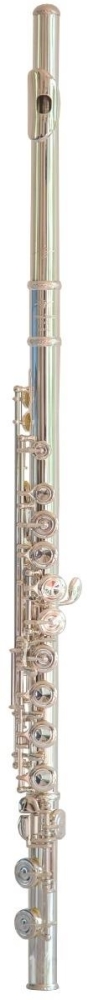 Trevor James 10x Flute Outfit - CS 925 Silver Lip Plate and Riser