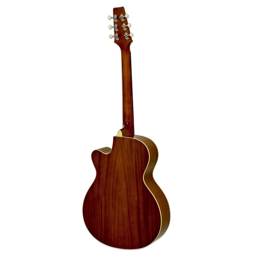 Aria Passive acoustic-electric guitar