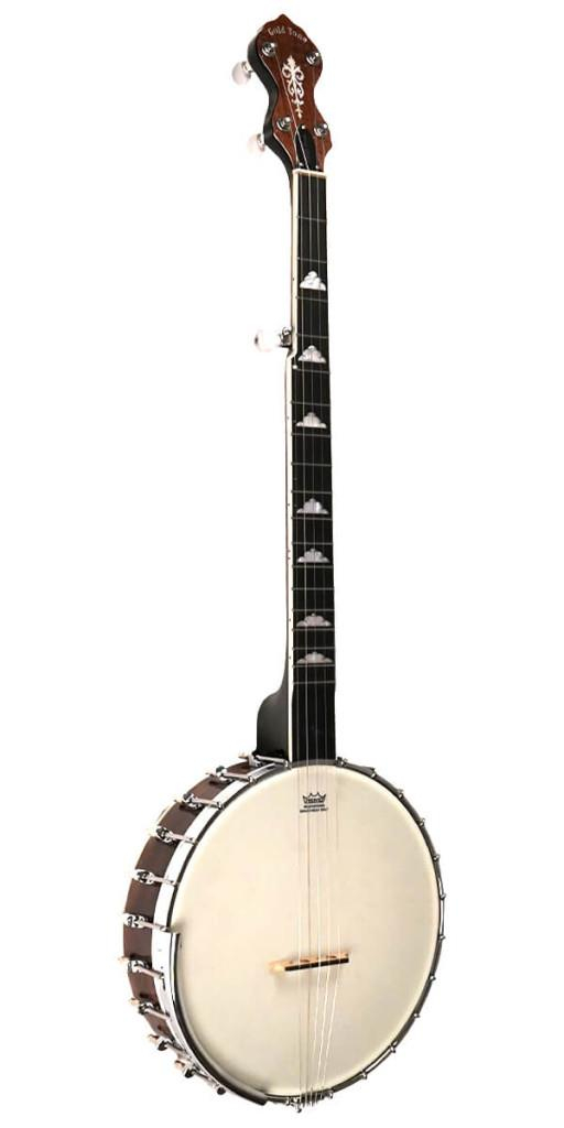 Gold Tone White Ladye 5-string open back banjo with hardshell case