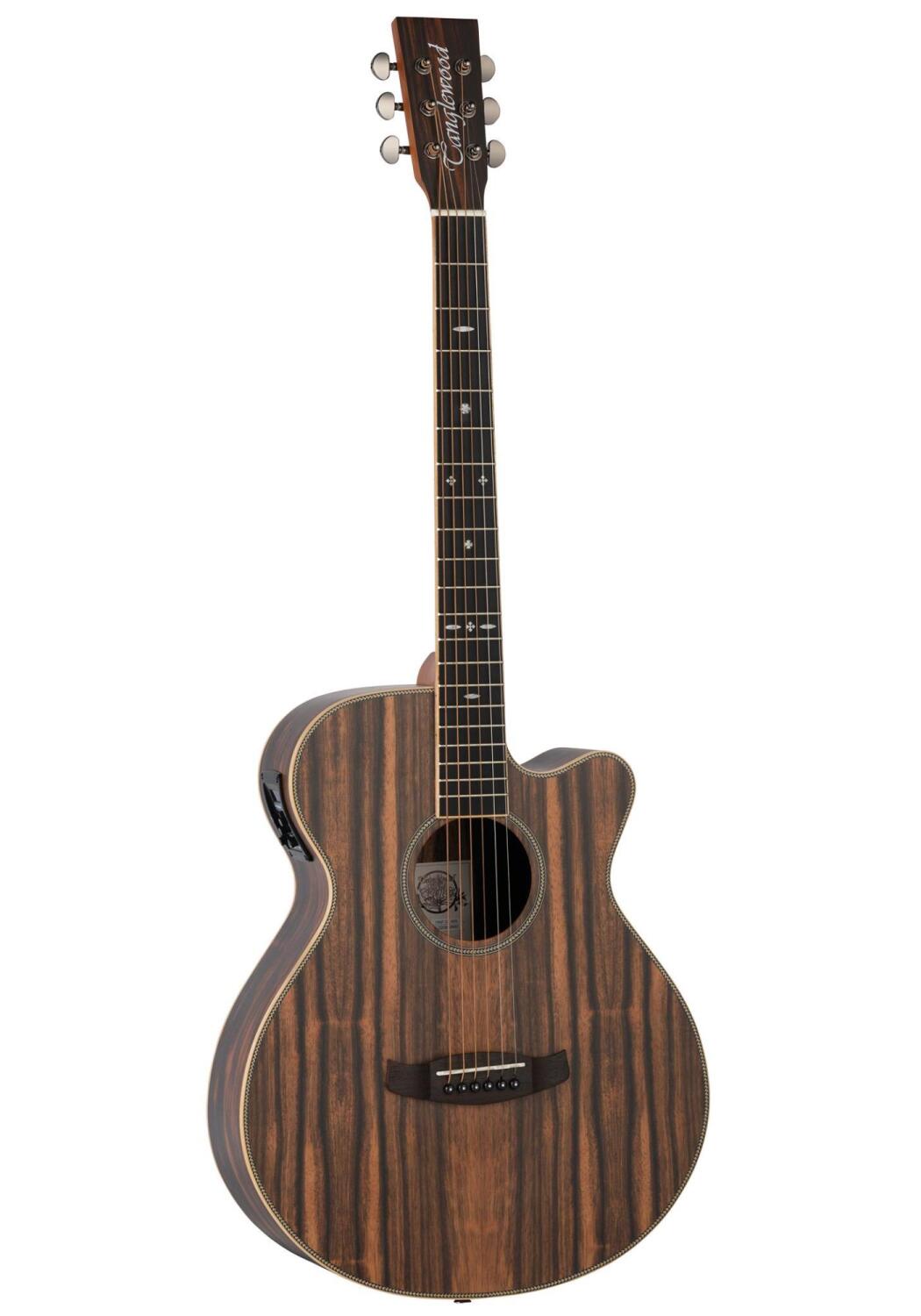 Acoustic Guitar Reunion Pro