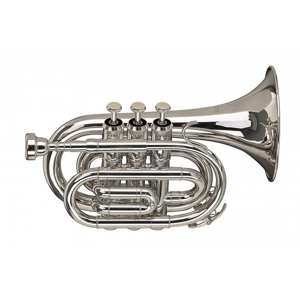 Stagg Bb pocket trumpet with regular regular Bb trumpet bell