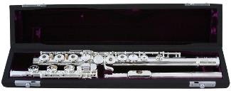 Trevor James TJ 31CF-HROE Cantabile Flute, Open Hole, B Foot Joint, E Mech