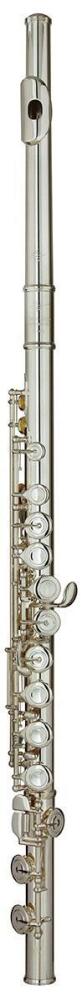 Trevor James Privilege Flute Outfit - Straight Head. CS Shaped Lip