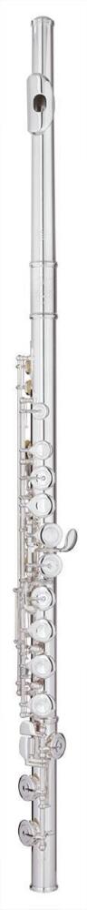 Trevor James Chanson Flute Outfit - Straight Head. CT Trad Lip