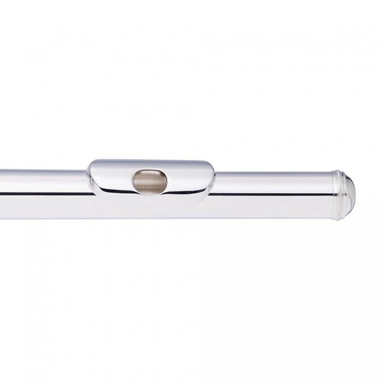 Stagg C Flute, closed holes, offset G, split E