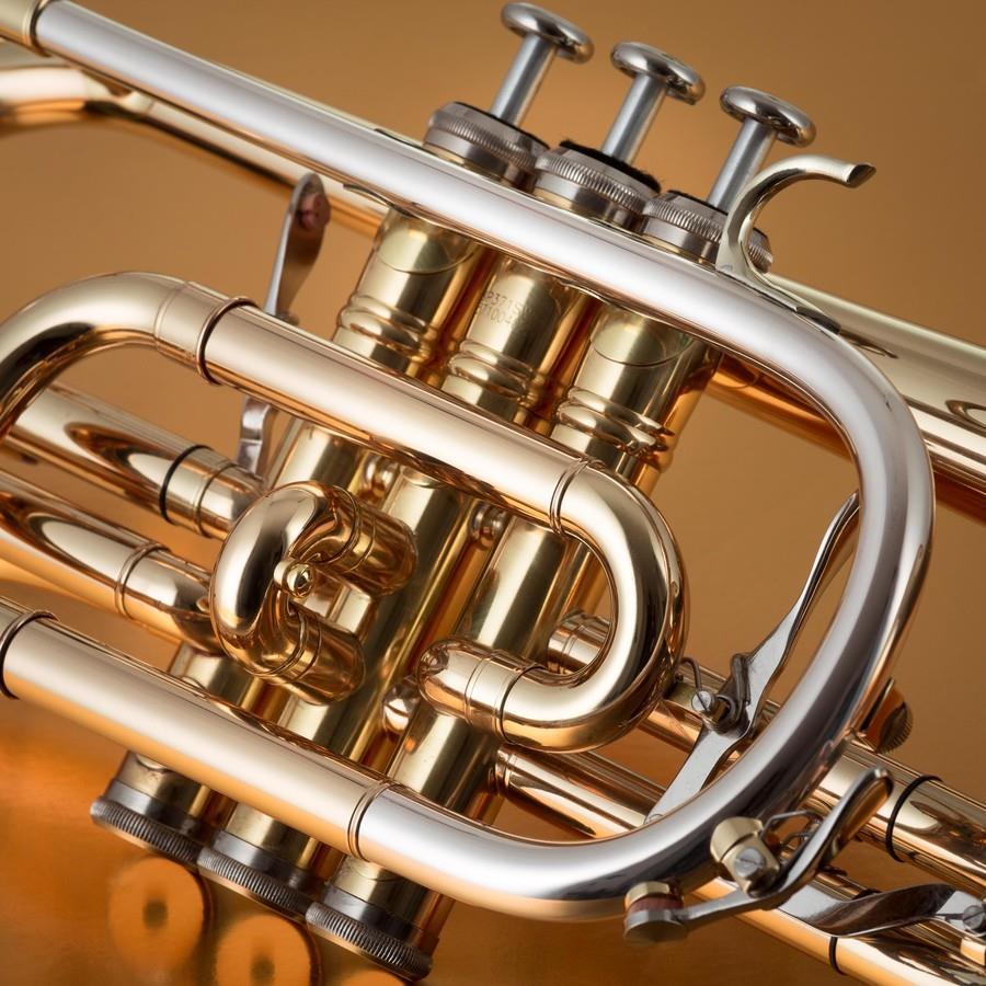 John Packer JP371LSW Professional Cornet - Smith Watkins Leadpipe, Lacquer