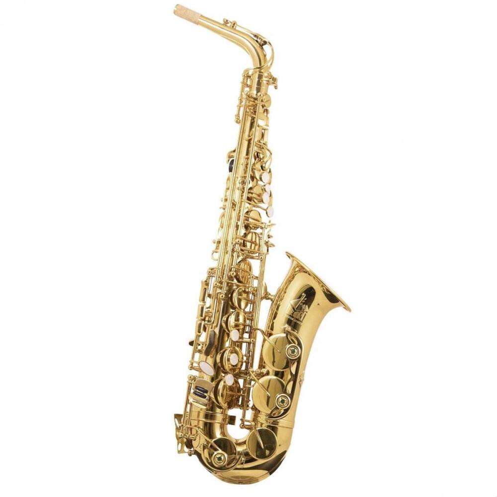 Trevor James Horn Classic II Alto Sax Outfit - Gold Lacquer