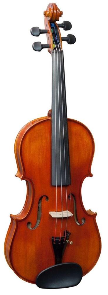 Hidersine Violin Vivente Academy 4/4 Finetune Outfit.