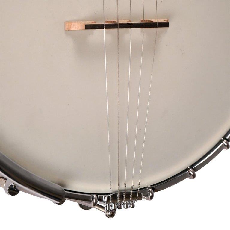 Gold Tone White Ladye 5-string open back banjo with hardshell case
