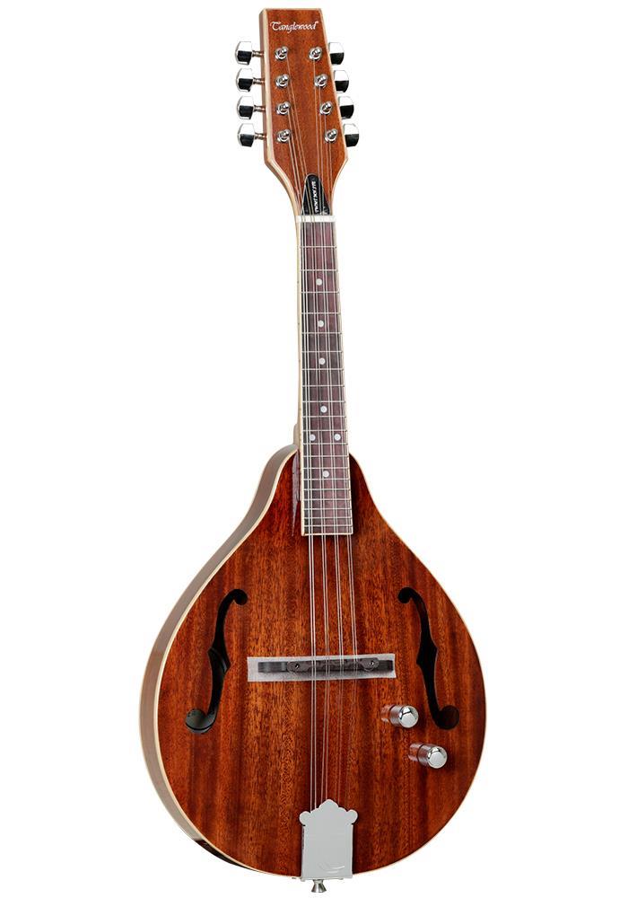 Tanglewood Solid Top Mahogany Mandolin