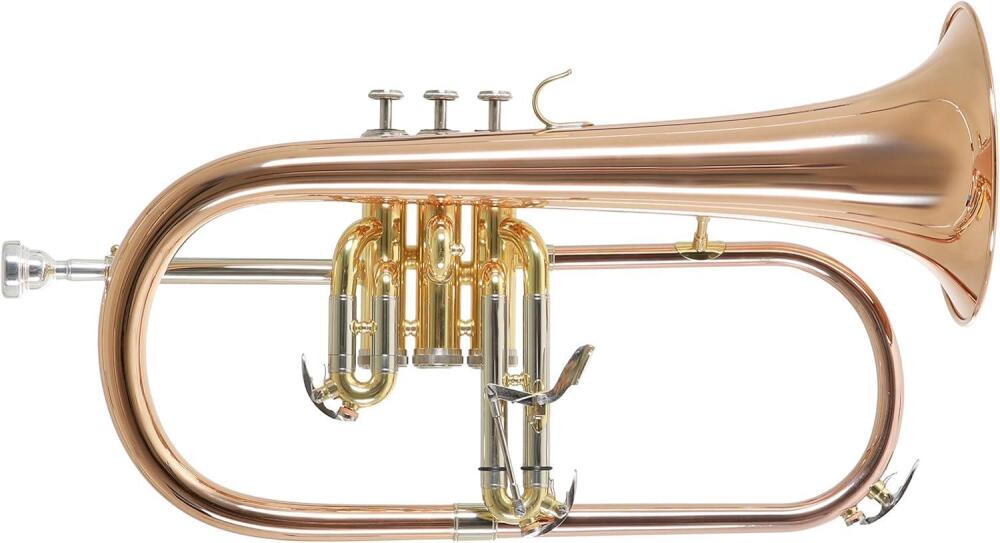 Roy Benson RB FH-302G Flugel Horn