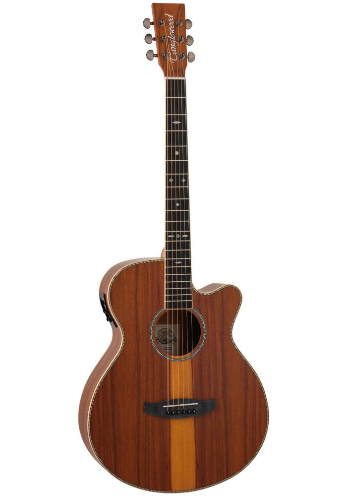 Tanglewood Acoustic Guitar Reunion Pro - Santos