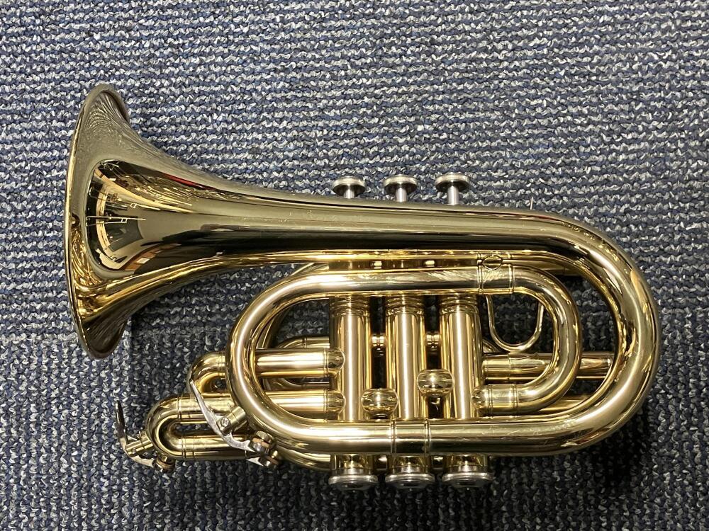 300 series Pocket Trumpet