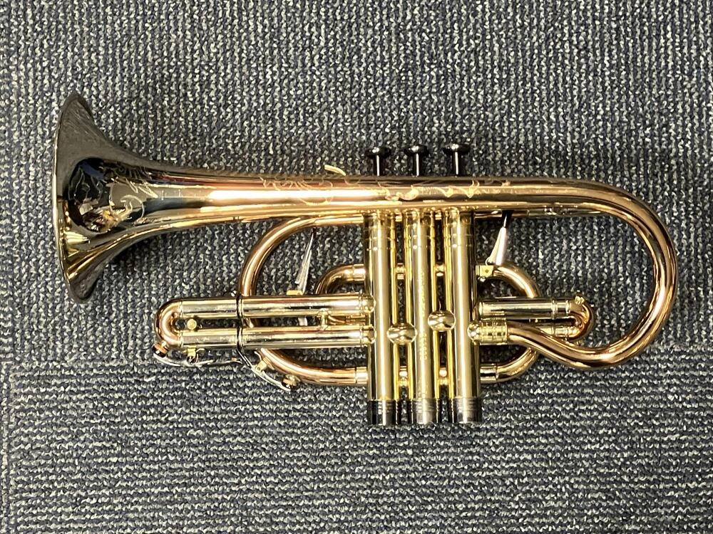 Cardinal Cornet in Lacquer - 285680