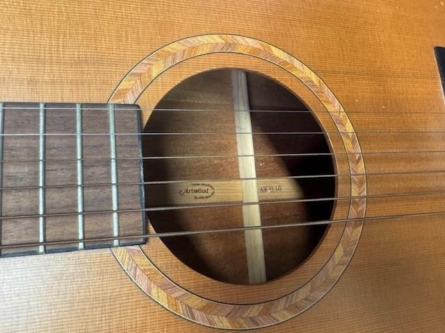 Ibanez Acoustic Guitar AW95