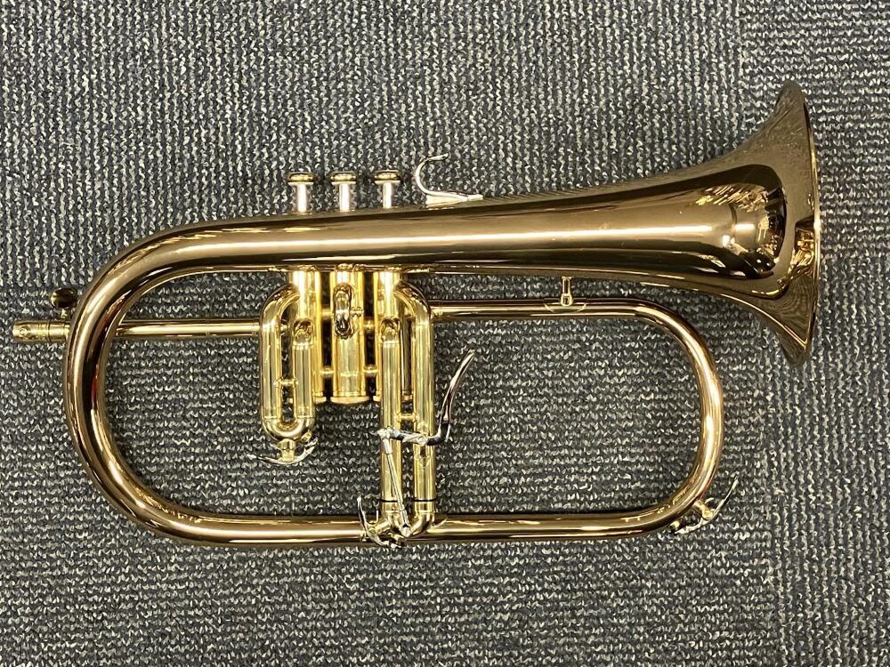 YFH8310GZ Flugel Horn