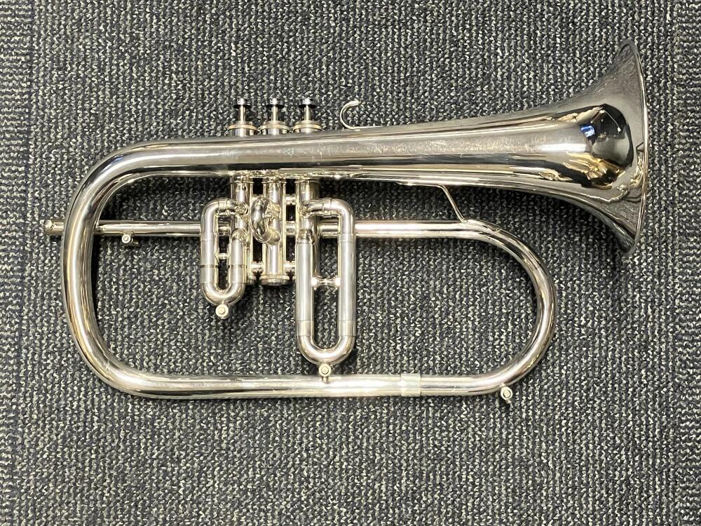 Eterna Flugel