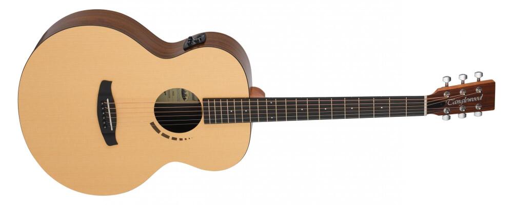 Tanglewood Acoustic Guitar Metropolitan Orchestra Fok Electro