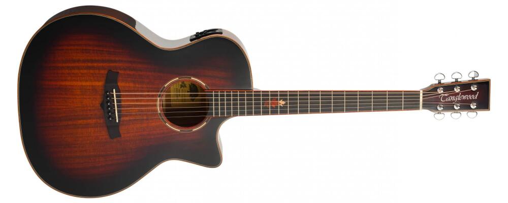 Tanglewood Winterleaf Venetian Auditorium Guitar