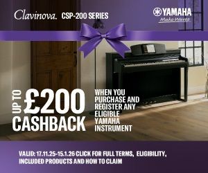 More-Than-300x250 (4)