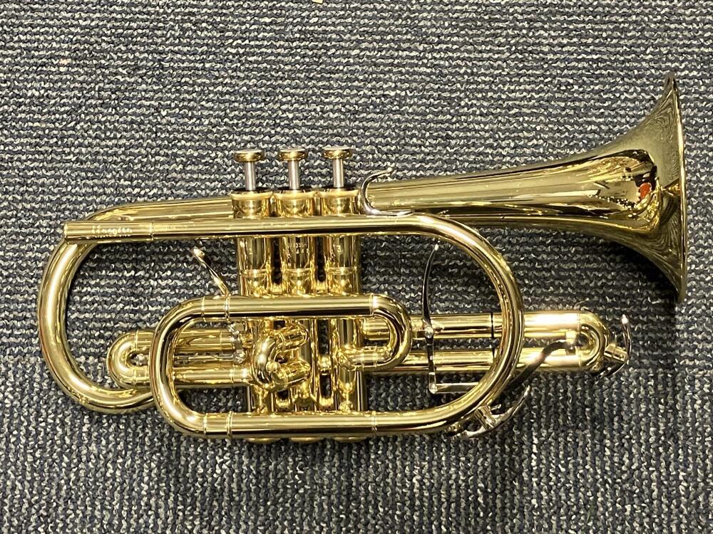 Maestro Cornet YCR6335H