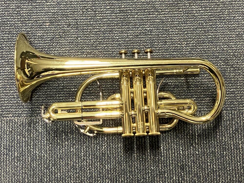Maestro Cornet YCR6335H