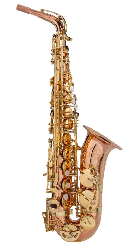 Trevor James 37SC-A569 Signature Custom Alto Saxophone - Bronze Body