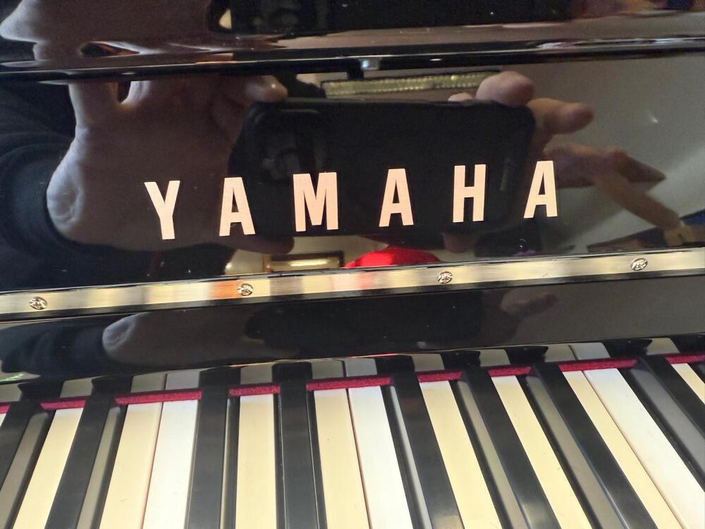 Yamaha NU1X Avant Grand Digital Piano
