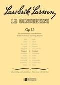 Concertino Op. 45:6