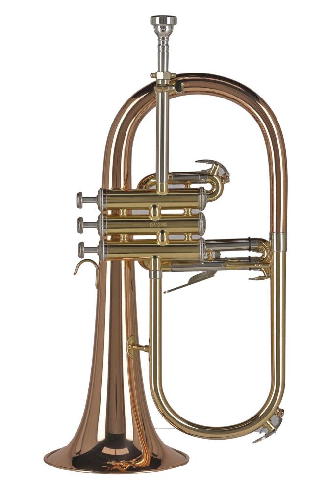 Gewa Ambition Flugel Horn FH501