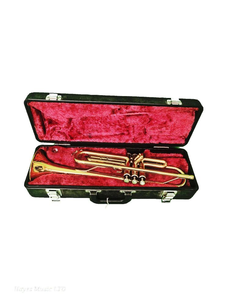 YTR1335 Bb Trumpet - 591197