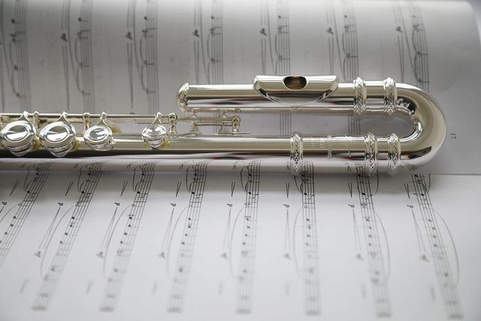 Trevor James TJ 3041CDEAW Trevor James Flute Curved Head