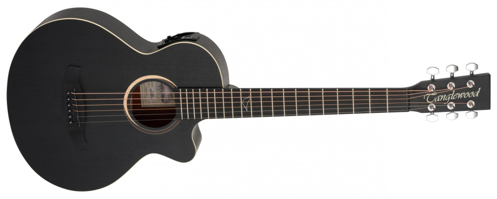 Tanglewood Blackbird Travel Super Folk Acoustic Guitar