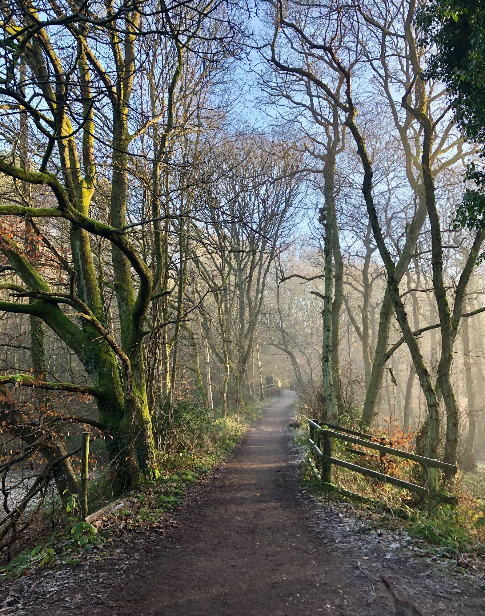 Coaching with Liz Abram in Staffordshire and Derbyshire Peak District