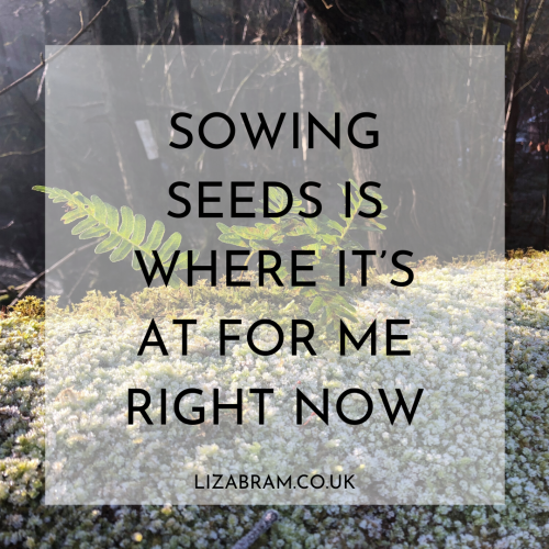Blog - Sowing Seeds