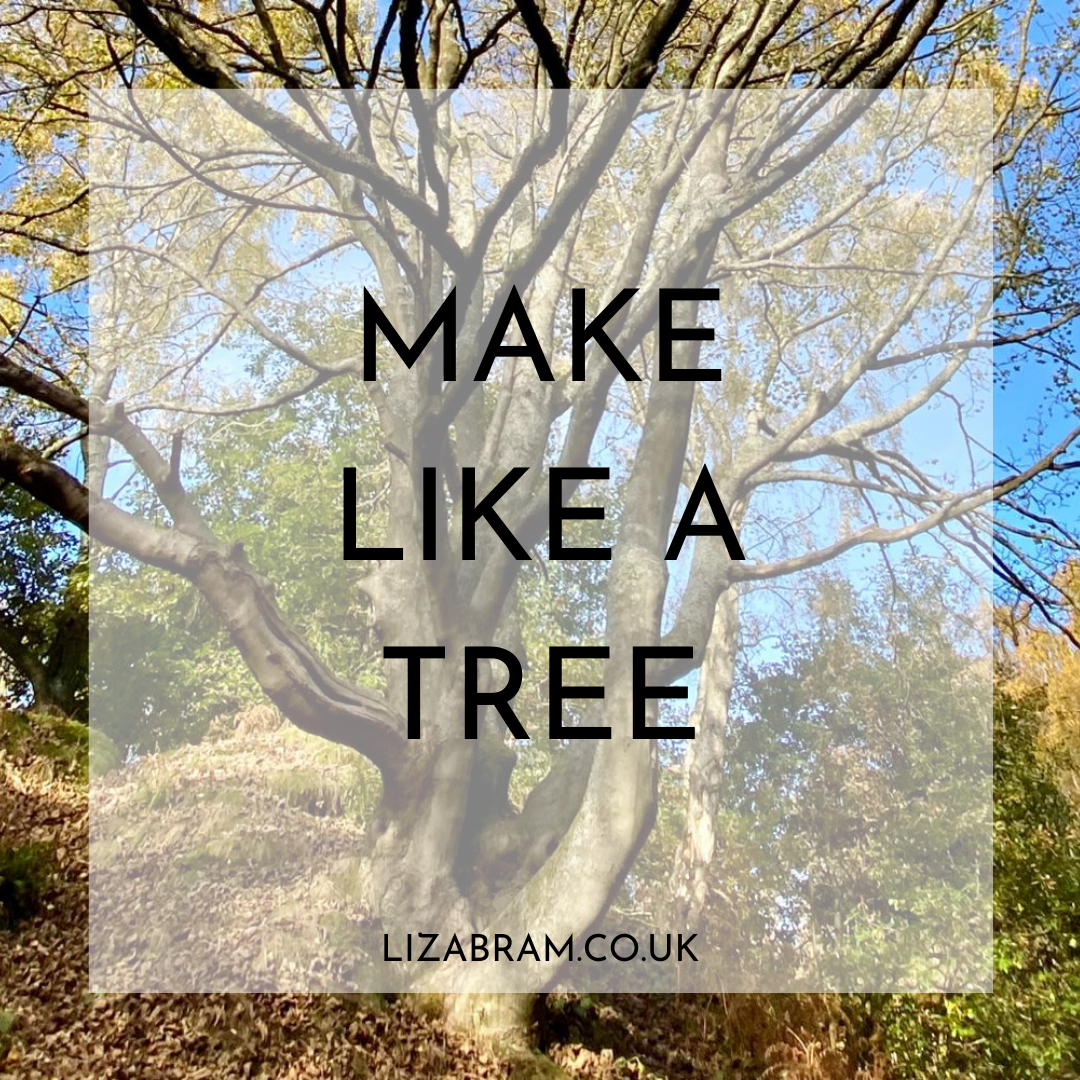 Make like a Tree - Blog by Liz Abram, Life Coach