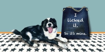 Licked It Collie Card