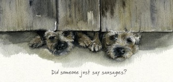 Sausage Border Terrier Card