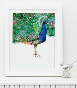Peacock Art Print 