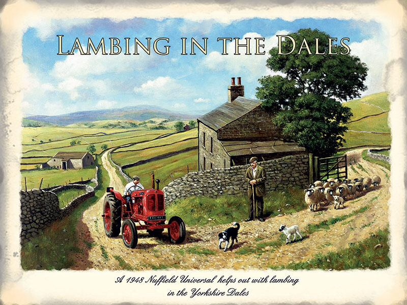 Lambing in the Dales Metal Sign