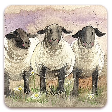 Suffolk Sheep Coaster